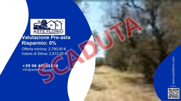 terreno agricolo in vendita a Torre Santa Susanna