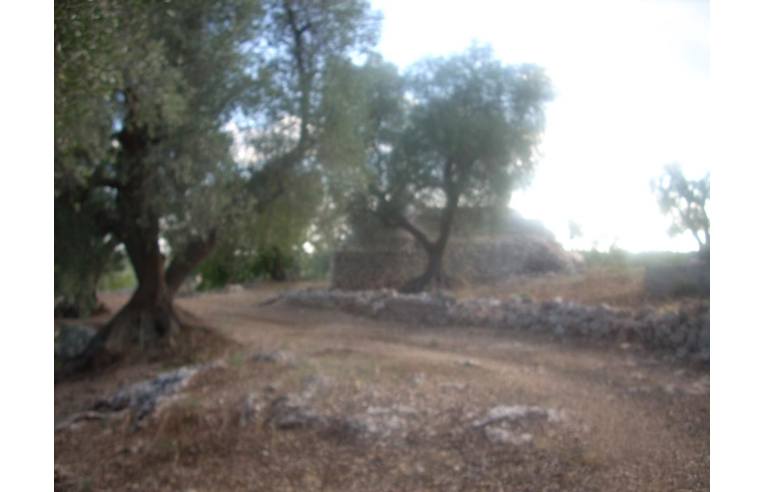 casa indipendente in vendita a Villa Castelli