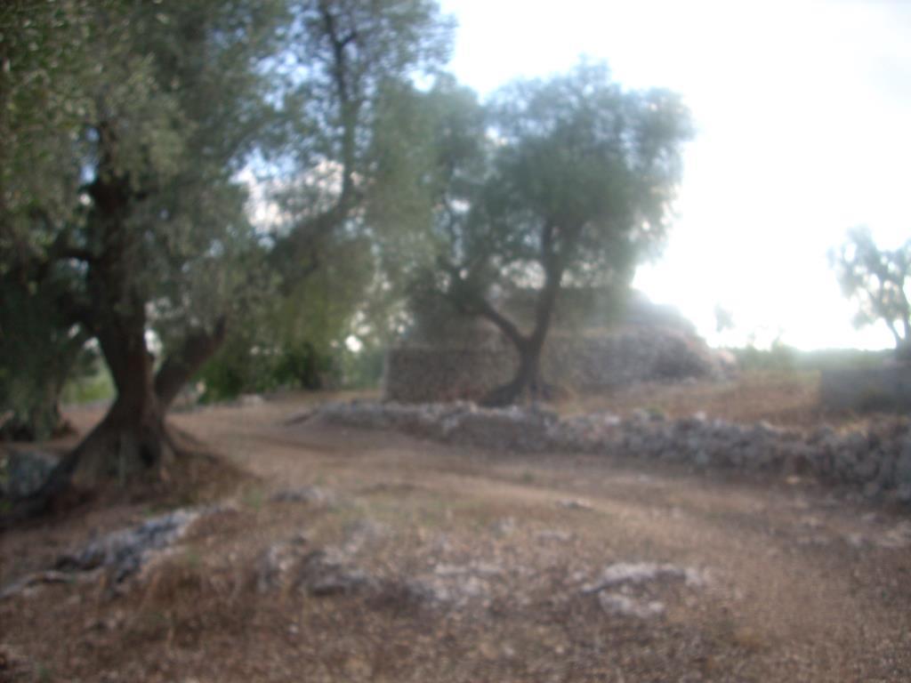 casa indipendente in vendita a Villa Castelli