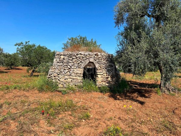terreno agricolo in vendita a Villa Castelli in zona Antoglia