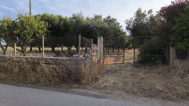 terreno agricolo in vendita a Villa Castelli