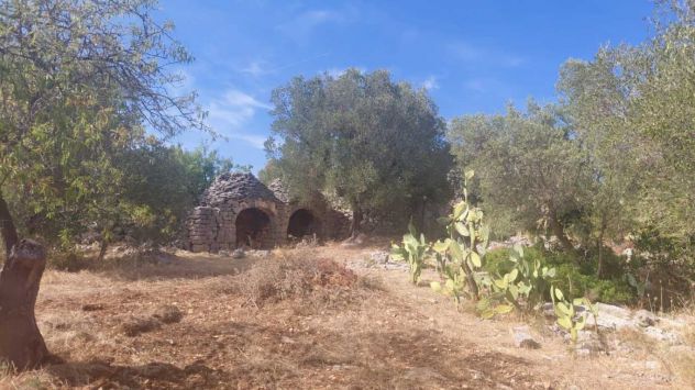 terreno agricolo in vendita a Villa Castelli
