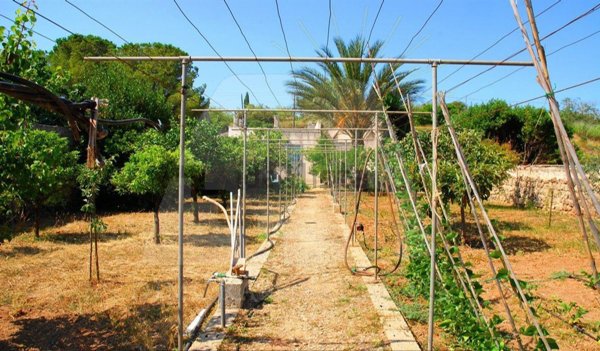 appartamento in vendita ad Alessano