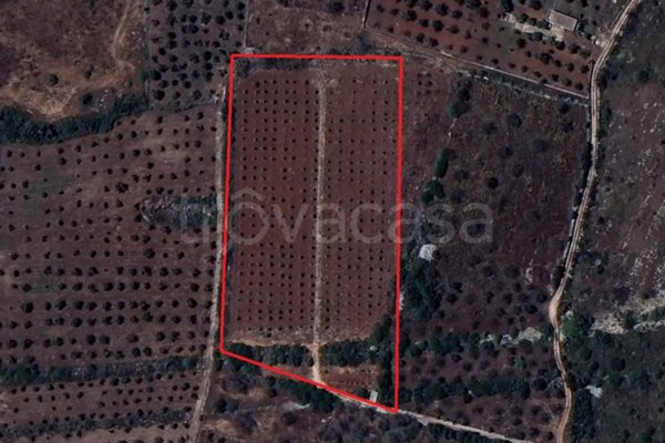 terreno agricolo in vendita ad Alessano