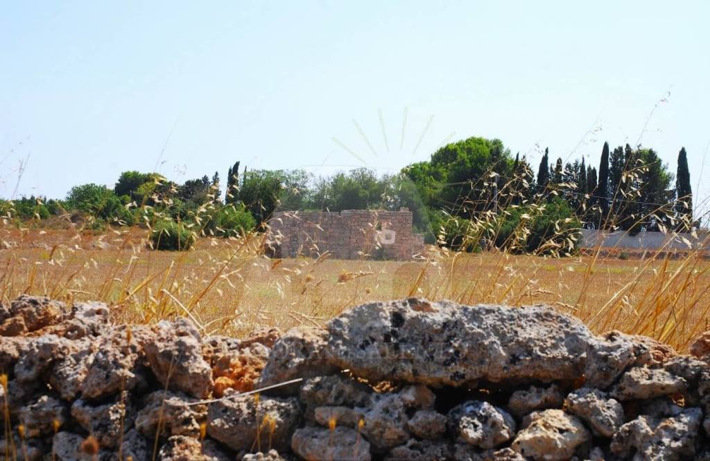 terreno agricolo in vendita ad Alessano