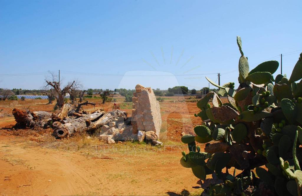 terreno agricolo in vendita ad Alessano