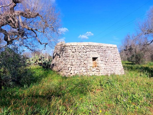 terreno agricolo in vendita ad Alessano