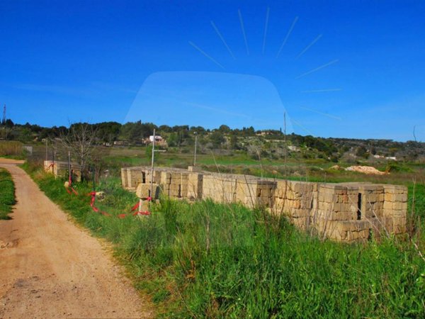 terreno agricolo in vendita ad Alessano