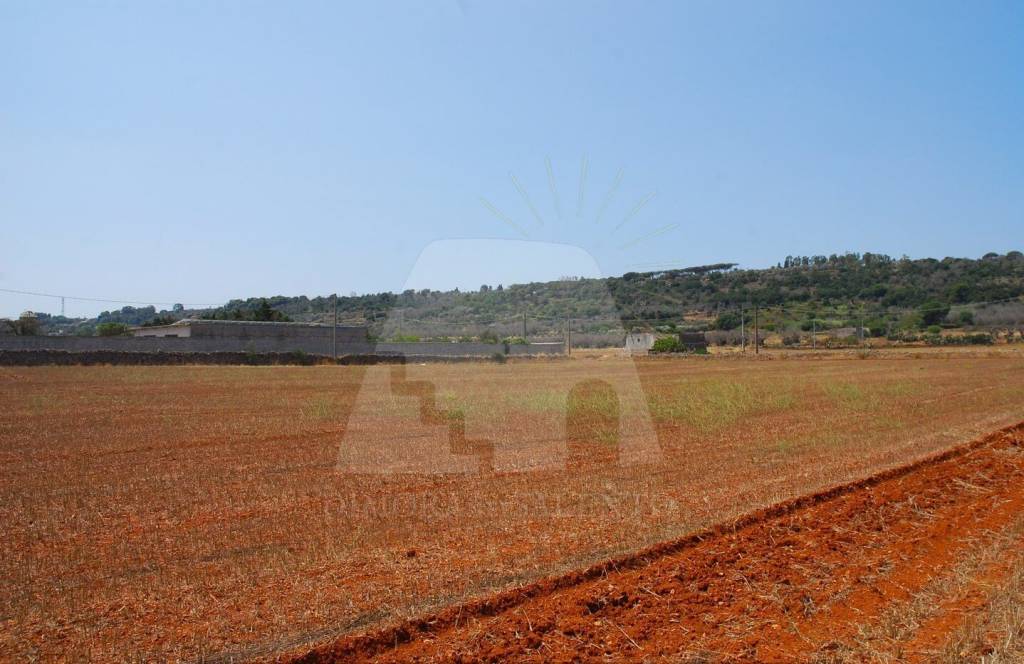 terreno agricolo in vendita ad Alessano