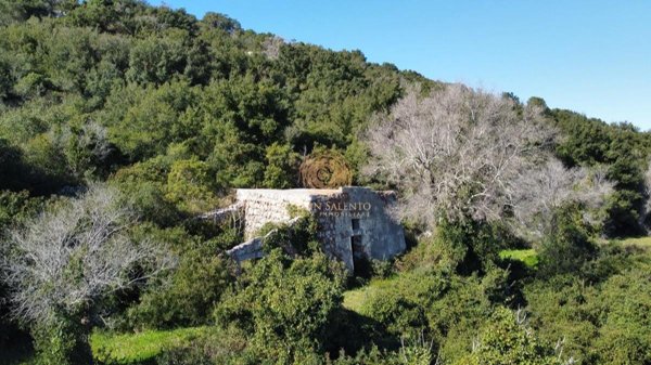terreno agricolo in vendita ad Alessano