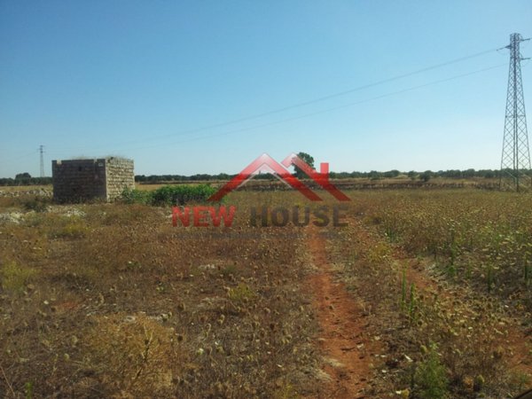 terreno agricolo in vendita ad Alessano