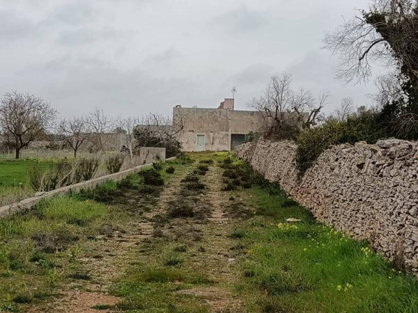 terreno agricolo in vendita ad Alessano