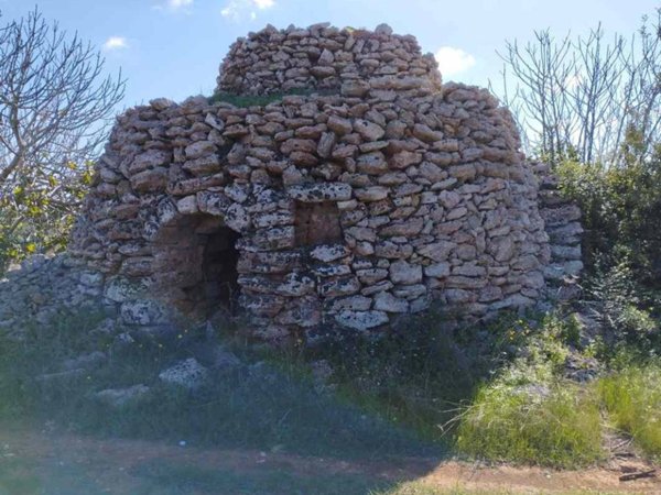 terreno agricolo in vendita ad Alessano