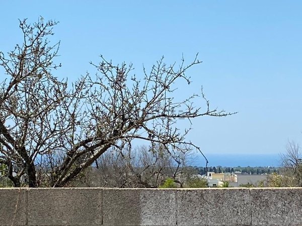 terreno agricolo in vendita ad Alessano