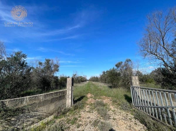 terreno agricolo in vendita ad Alessano