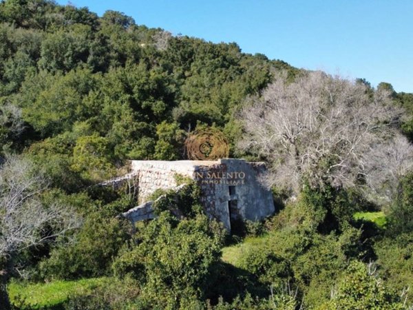 terreno agricolo in vendita ad Alessano