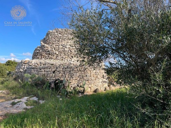 terreno agricolo in vendita ad Alessano