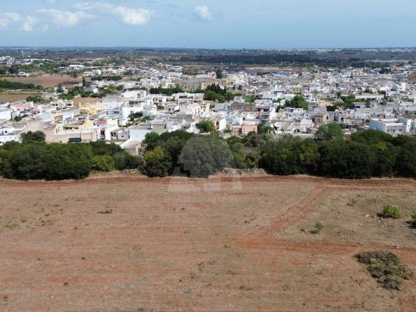 terreno agricolo in vendita ad Alessano