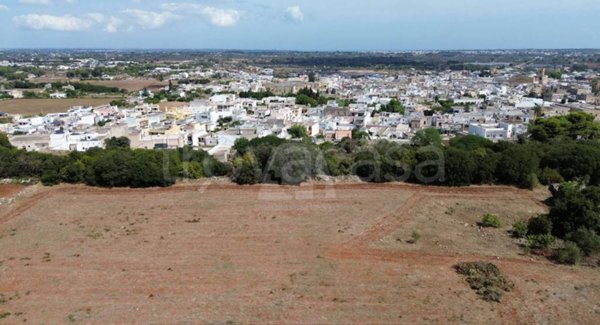 terreno agricolo in vendita ad Alessano