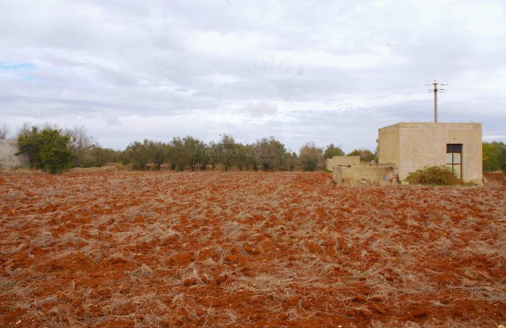 terreno agricolo in vendita ad Alessano