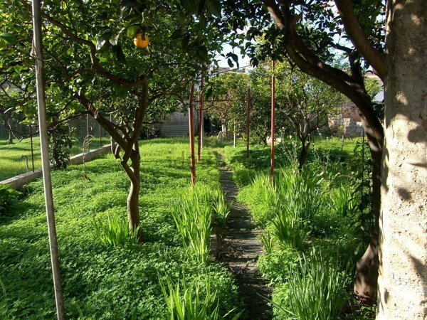 appartamento in vendita ad Alessano