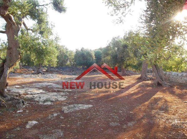 terreno agricolo in vendita ad Alessano