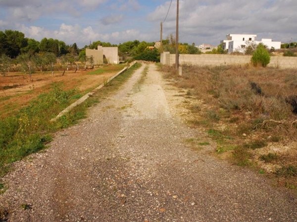 terreno agricolo in vendita ad Alessano