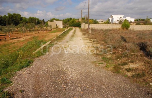 terreno agricolo in vendita ad Alessano