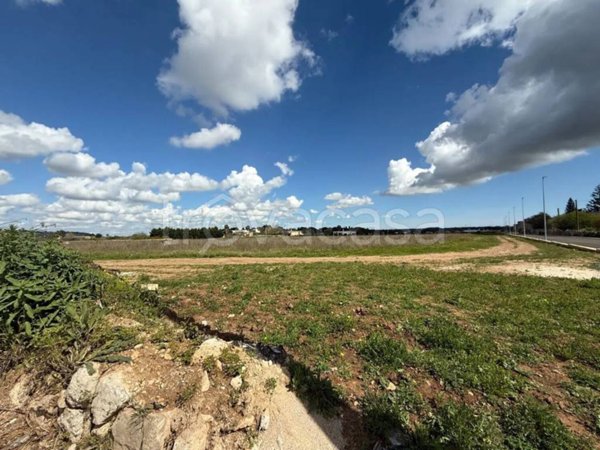 terreno agricolo in vendita ad Alessano