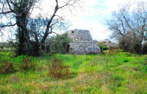 terreno agricolo in vendita ad Alessano