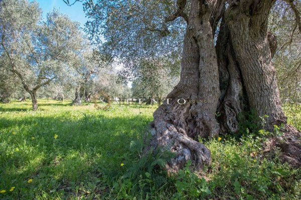 casa indipendente in vendita ad Alessano