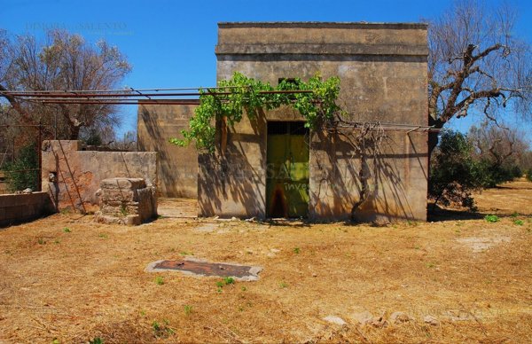 terreno agricolo in vendita ad Alessano in zona Montesardo