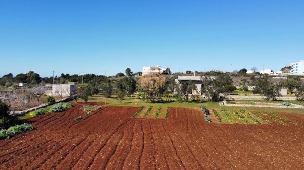 terreno agricolo in vendita ad Alessano in zona Montesardo