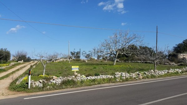 terreno agricolo in vendita ad Alessano