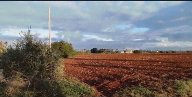terreno agricolo in vendita ad Alessano