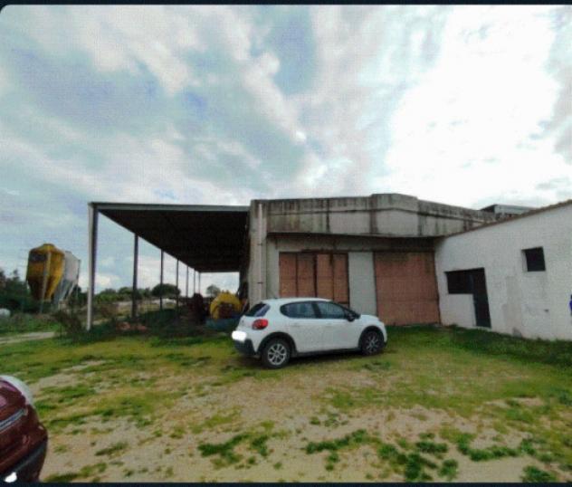 terreno agricolo in vendita ad Alessano