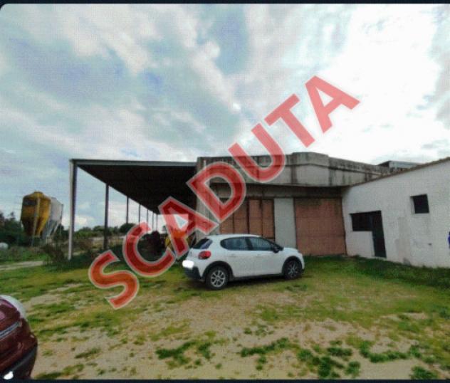 terreno agricolo in vendita ad Alessano