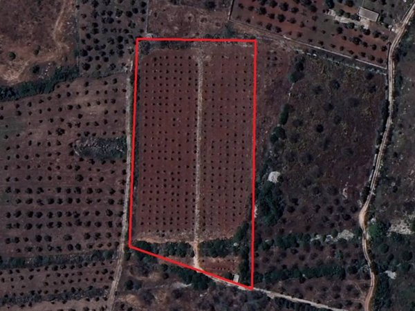 terreno agricolo in vendita ad Alessano