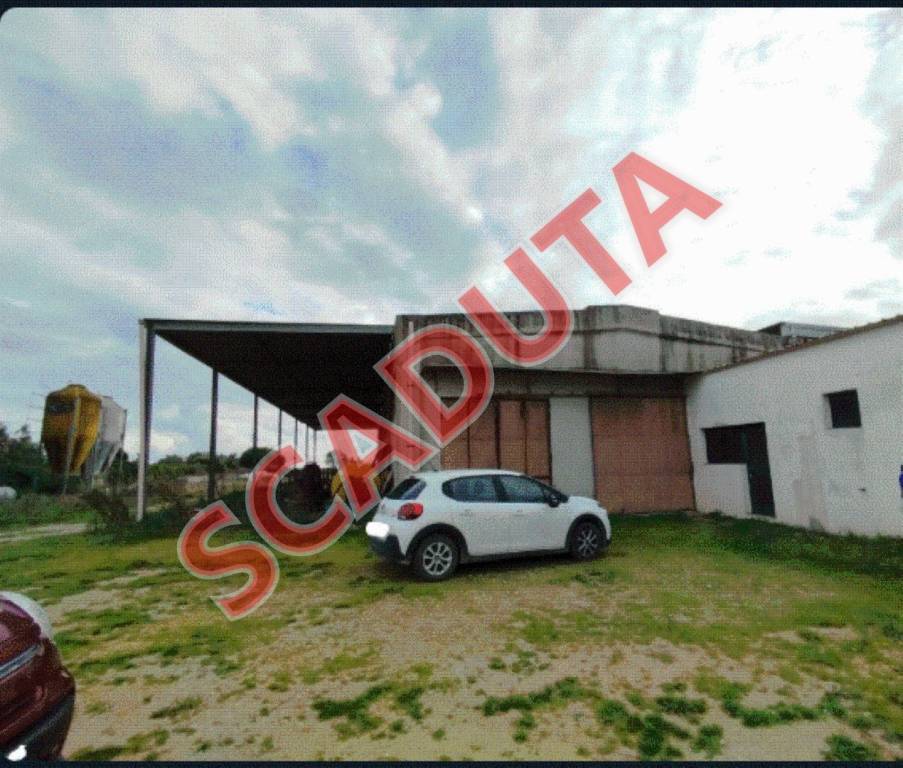 terreno agricolo in vendita ad Alessano