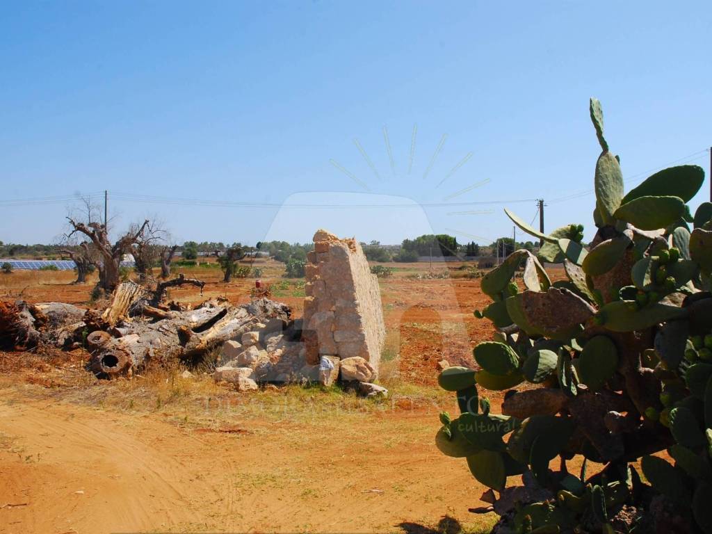 terreno agricolo in vendita ad Alessano