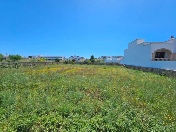 terreno agricolo in vendita ad Alessano