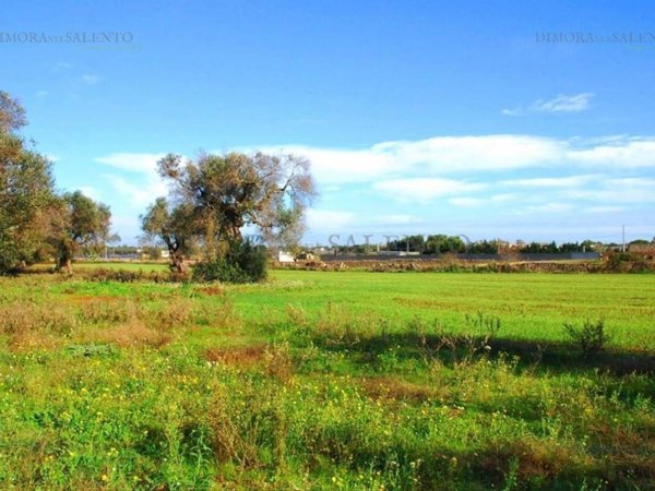 terreno agricolo in vendita ad Alessano