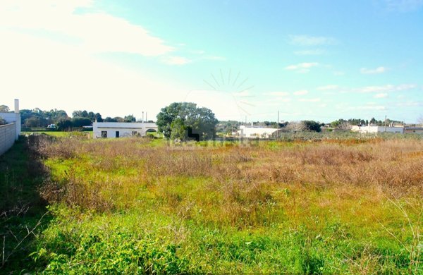 terreno agricolo in vendita ad Alessano in zona Montesardo
