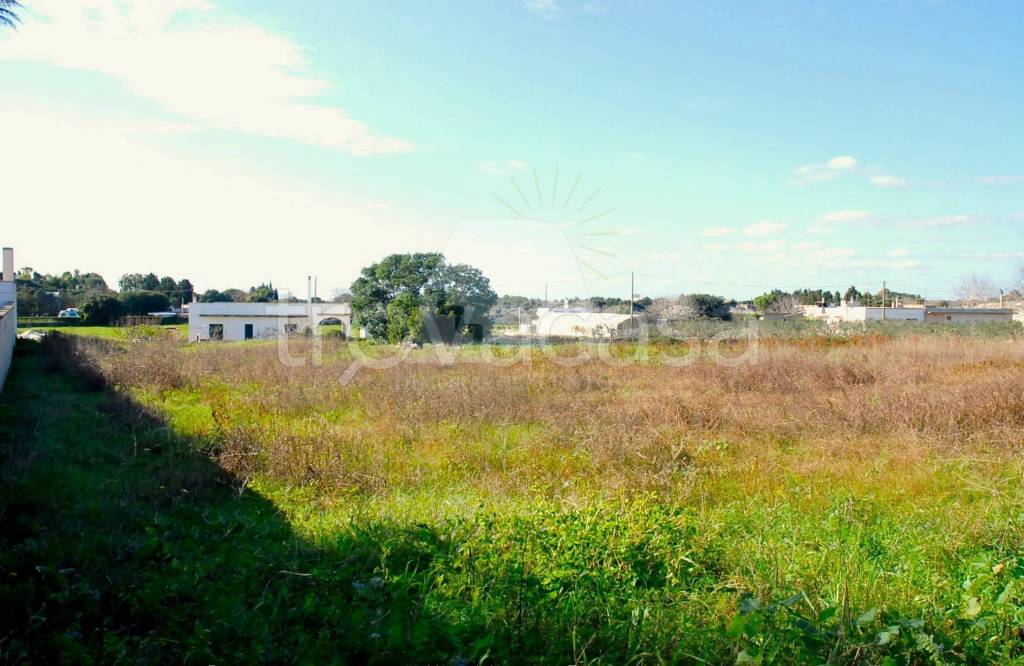 terreno agricolo in vendita ad Alessano in zona Montesardo