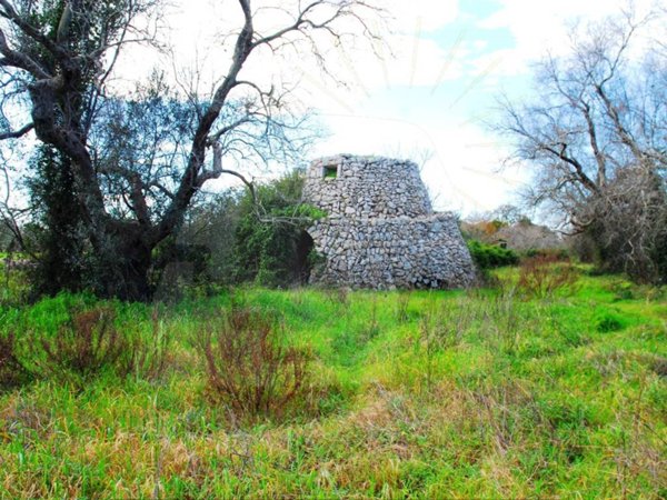 terreno agricolo in vendita ad Alessano