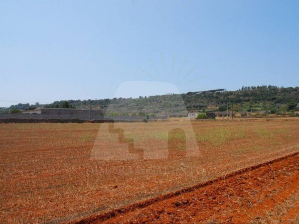 terreno agricolo in vendita ad Alessano