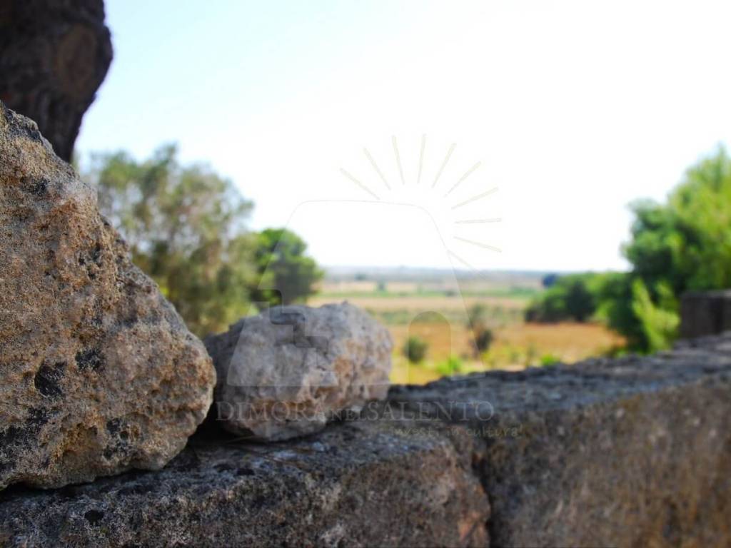 terreno agricolo in vendita ad Alessano