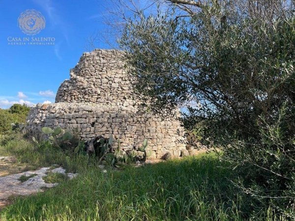 terreno agricolo in vendita ad Alessano