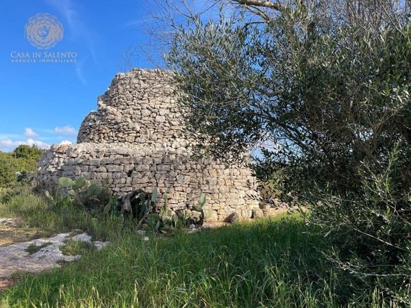 terreno agricolo in vendita ad Alessano