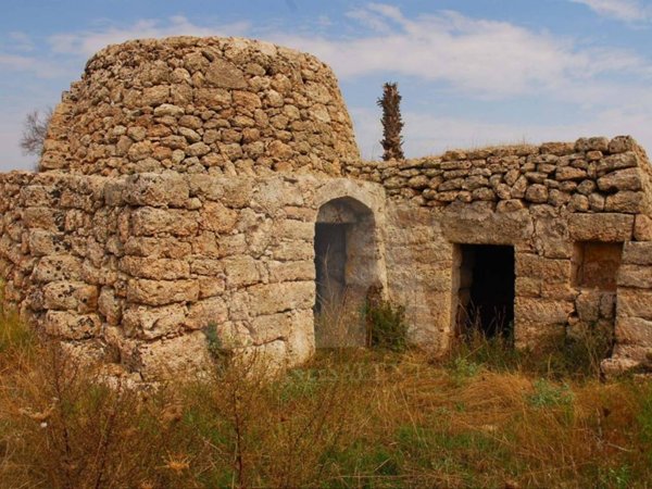 terreno agricolo in vendita ad Alessano